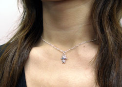 ���N���b�N����Ɗg�債�܂�