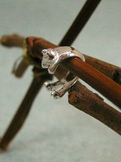 ���N���b�N����Ɗg�債�܂�