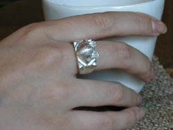 ���N���b�N����Ɗg�債�܂�