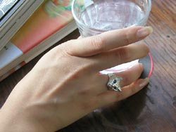 ���N���b�N����Ɗg�債�܂�